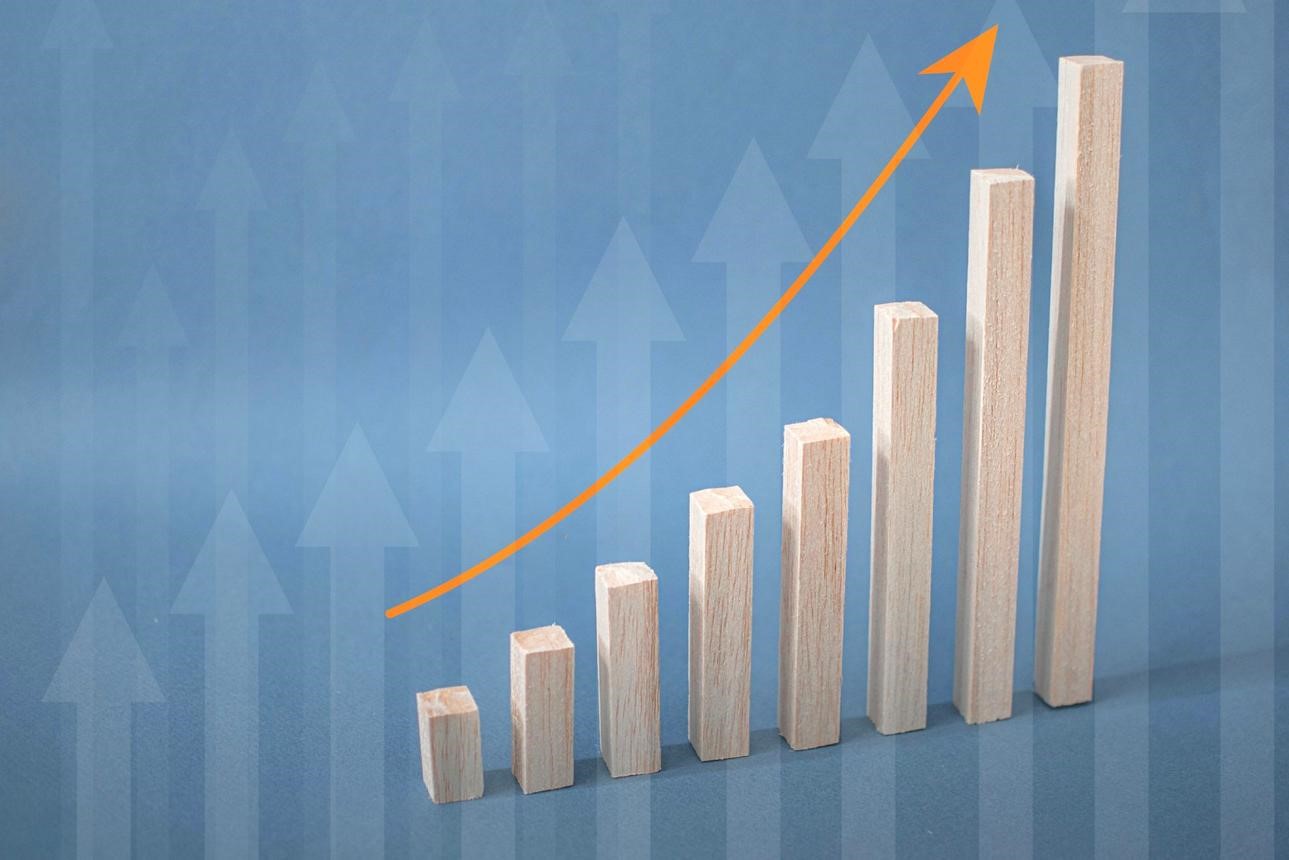 Partnership Growth